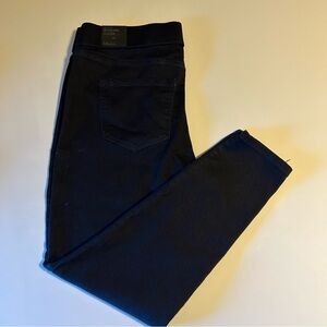 Lane Bryant Jeggings‎ 16P High Rise Pull On Comfy Easy Wear